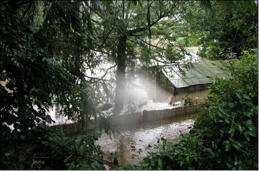 Gartenanlage Weldenweg